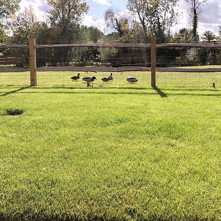 Well Cottage Itchingfield エクステリア 写真