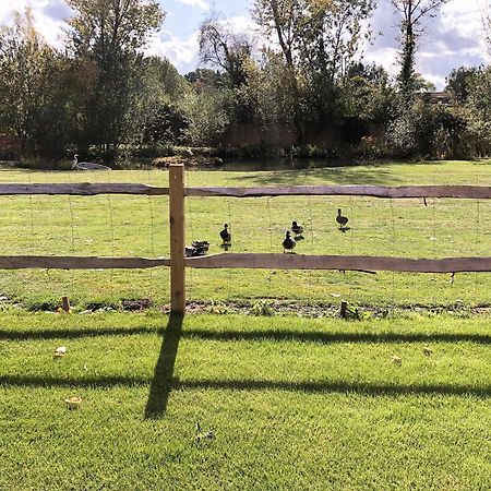 Well Cottage Itchingfield エクステリア 写真