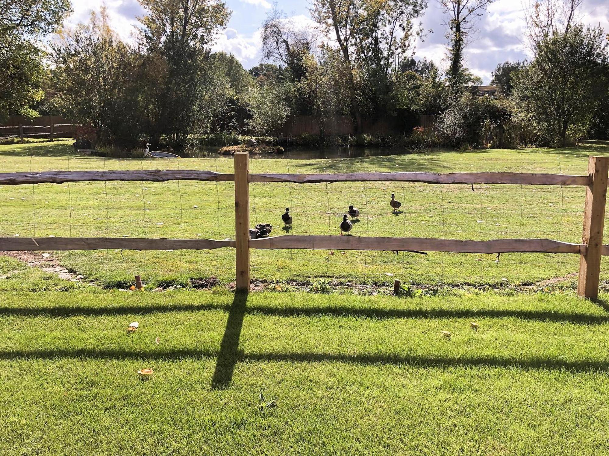 Well Cottage Itchingfield エクステリア 写真